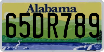 AL license plate 65DR789