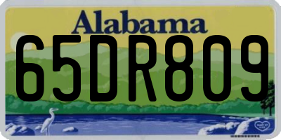 AL license plate 65DR809