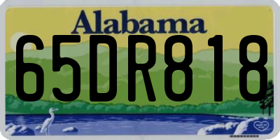 AL license plate 65DR818