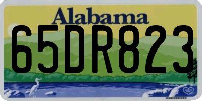 AL license plate 65DR823