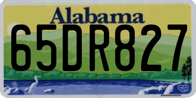 AL license plate 65DR827