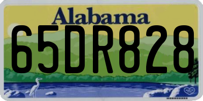 AL license plate 65DR828