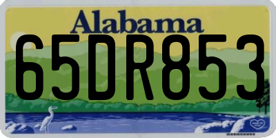 AL license plate 65DR853