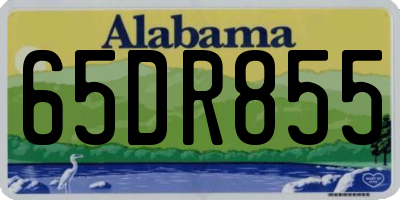 AL license plate 65DR855