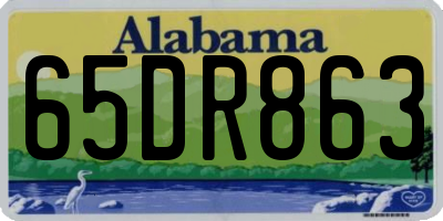 AL license plate 65DR863