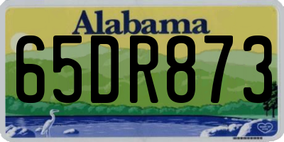 AL license plate 65DR873
