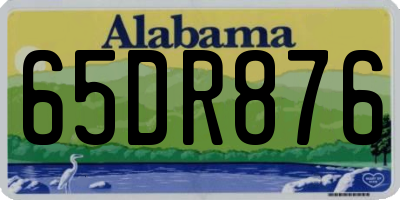 AL license plate 65DR876