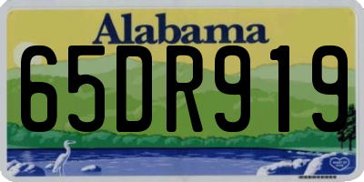 AL license plate 65DR919
