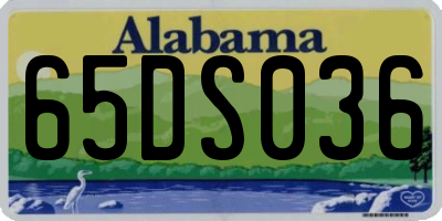 AL license plate 65DS036