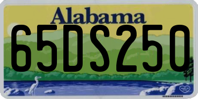 AL license plate 65DS250