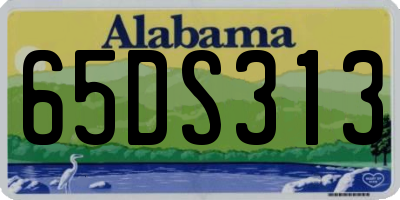 AL license plate 65DS313