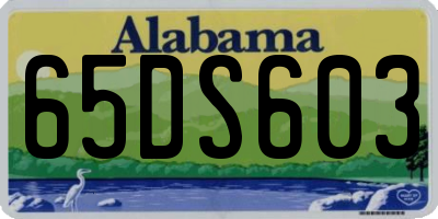 AL license plate 65DS603