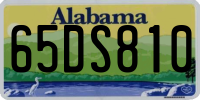 AL license plate 65DS810