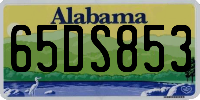 AL license plate 65DS853