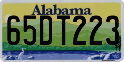AL license plate 65DT223