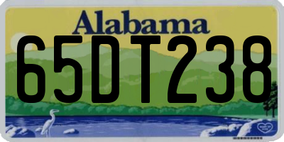 AL license plate 65DT238