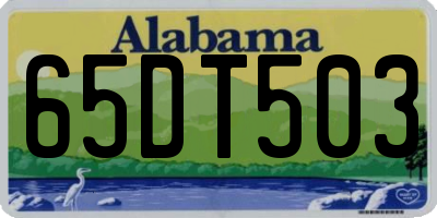 AL license plate 65DT503
