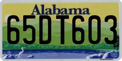 AL license plate 65DT603