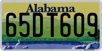 AL license plate 65DT609