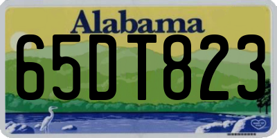 AL license plate 65DT823