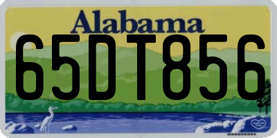 AL license plate 65DT856