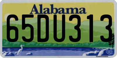 AL license plate 65DU313