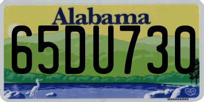 AL license plate 65DU730