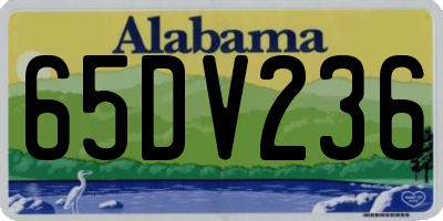 AL license plate 65DV236