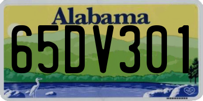 AL license plate 65DV301