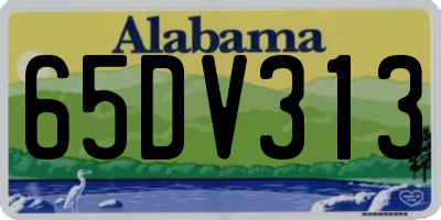 AL license plate 65DV313