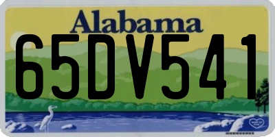 AL license plate 65DV541