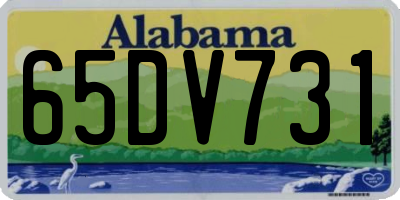 AL license plate 65DV731