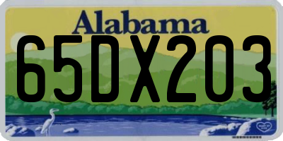 AL license plate 65DX203