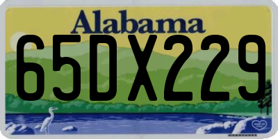 AL license plate 65DX229