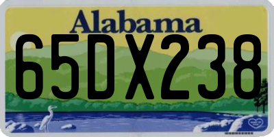 AL license plate 65DX238