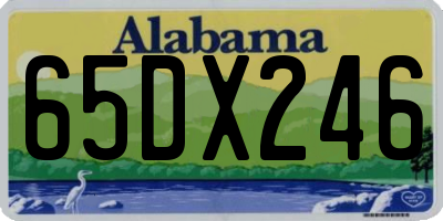 AL license plate 65DX246