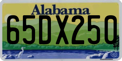 AL license plate 65DX250