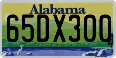 AL license plate 65DX300