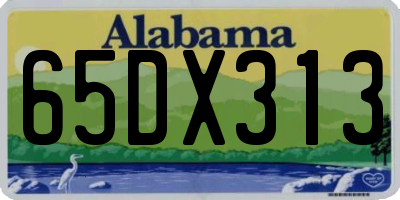 AL license plate 65DX313