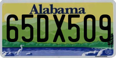 AL license plate 65DX509