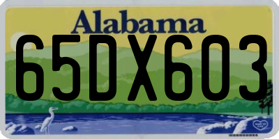 AL license plate 65DX603