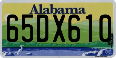 AL license plate 65DX610