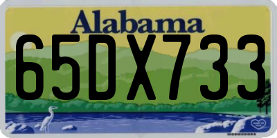 AL license plate 65DX733