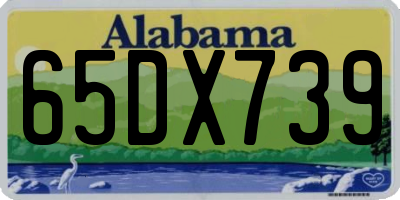 AL license plate 65DX739