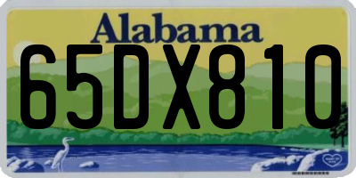 AL license plate 65DX810