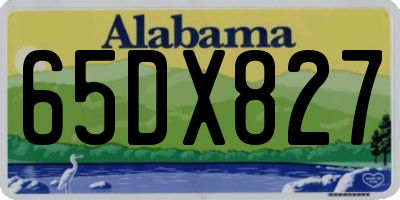 AL license plate 65DX827