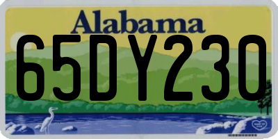 AL license plate 65DY230