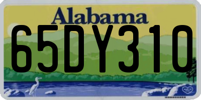 AL license plate 65DY310