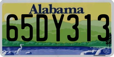 AL license plate 65DY313