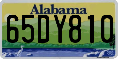 AL license plate 65DY810